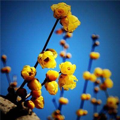 5848vip威尼斯电子游戏app下载