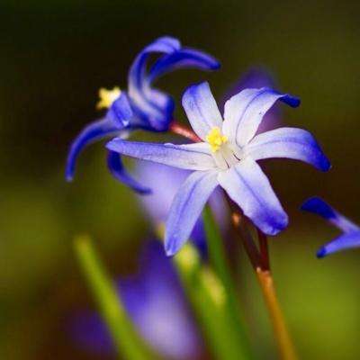 LDSports乐动体育