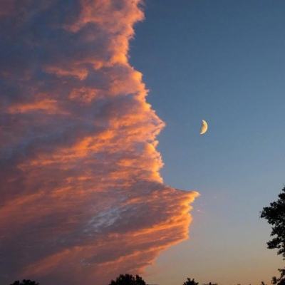 买球的app排行榜前十名推荐