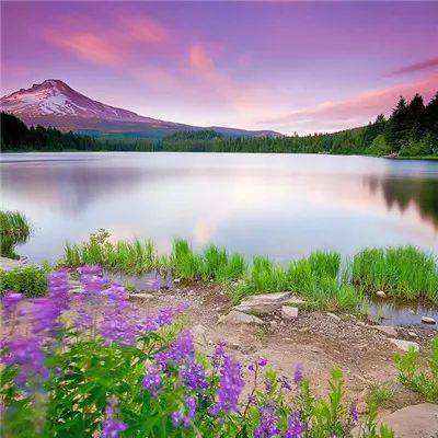 金沙集团9500手机app下载